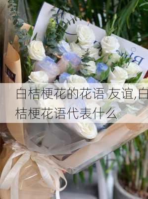 白桔梗花的花语 友谊,白桔梗花语代表什么