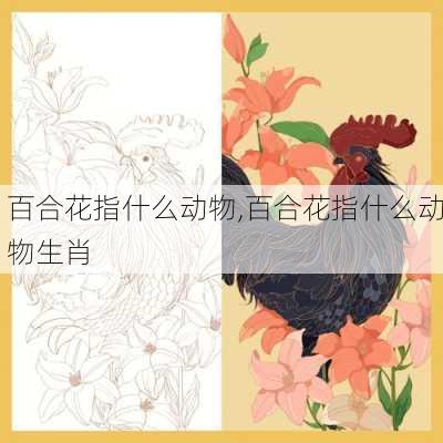 百合花指什么动物,百合花指什么动物生肖