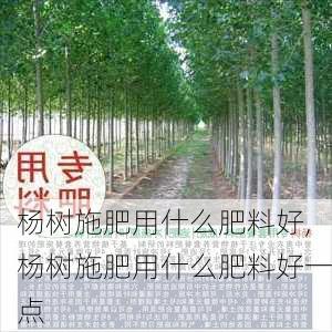 杨树施肥用什么肥料好,杨树施肥用什么肥料好一点