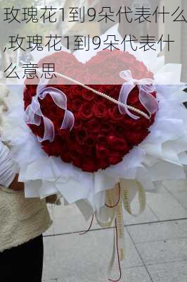 玫瑰花1到9朵代表什么,玫瑰花1到9朵代表什么意思