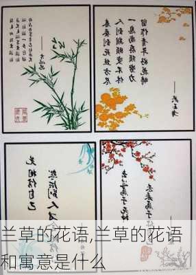 兰草的花语,兰草的花语和寓意是什么