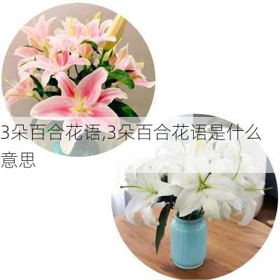 3朵百合花语,3朵百合花语是什么意思