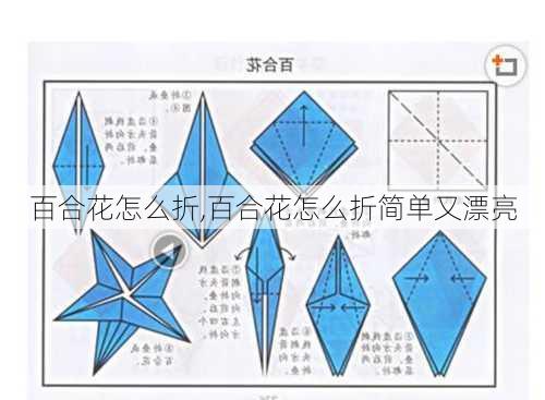 百合花怎么折,百合花怎么折简单又漂亮