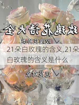 21朵白玫瑰的含义,21朵白玫瑰的含义是什么