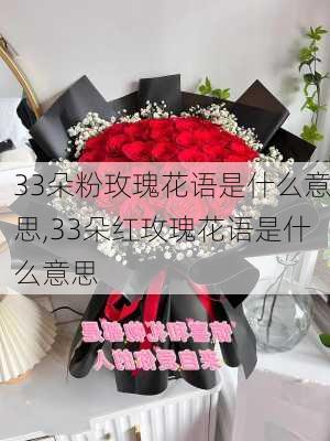 33朵粉玫瑰花语是什么意思,33朵红玫瑰花语是什么意思