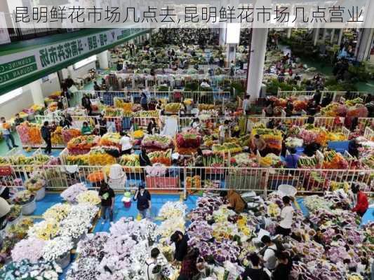 昆明鲜花市场几点去,昆明鲜花市场几点营业