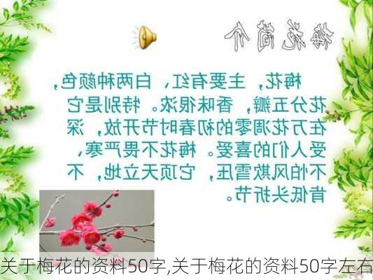 关于梅花的资料50字,关于梅花的资料50字左右