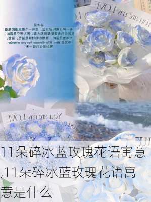 11朵碎冰蓝玫瑰花语寓意,11朵碎冰蓝玫瑰花语寓意是什么