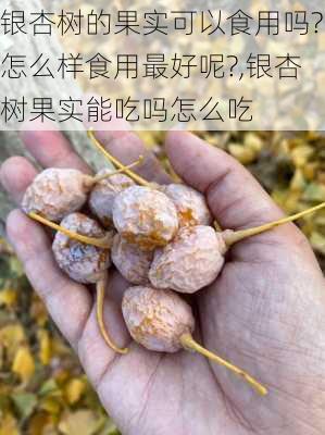 银杏树的果实可以食用吗?怎么样食用最好呢?,银杏树果实能吃吗怎么吃