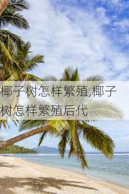 椰子树怎样繁殖,椰子树怎样繁殖后代