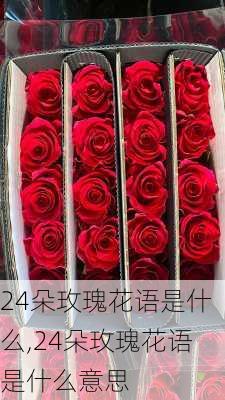 24朵玫瑰花语是什么,24朵玫瑰花语是什么意思