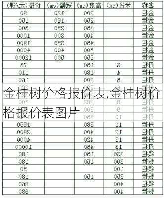 金桂树价格报价表,金桂树价格报价表图片