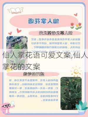 仙人掌花语可爱文案,仙人掌花的文案