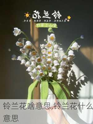 铃兰花啥意思,铃兰花什么意思