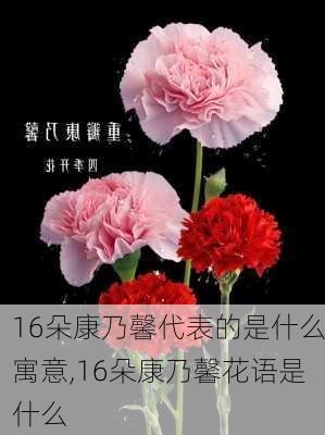 16朵康乃馨代表的是什么寓意,16朵康乃馨花语是什么