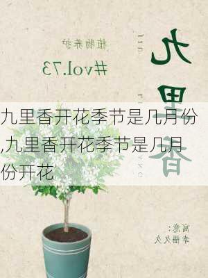 九里香开花季节是几月份,九里香开花季节是几月份开花