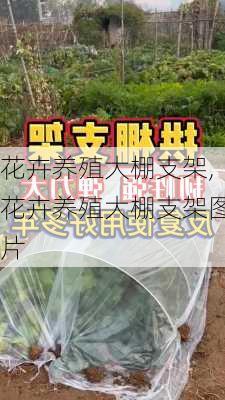 花卉养殖大棚支架,花卉养殖大棚支架图片