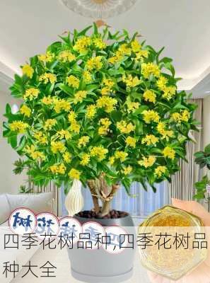 四季花树品种,四季花树品种大全