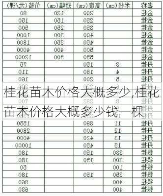 桂花苗木价格大概多少,桂花苗木价格大概多少钱一棵