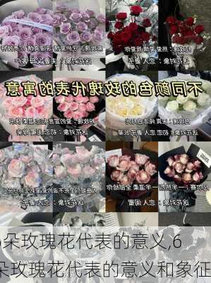 6朵玫瑰花代表的意义,6朵玫瑰花代表的意义和象征