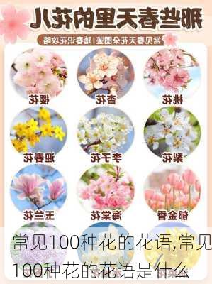 常见100种花的花语,常见100种花的花语是什么