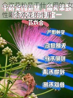 合欢花粉是干什么用的,女性喝合欢花的作用