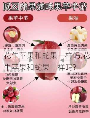 花牛苹果和蛇果一样吗,花牛苹果和蛇果一样吗?