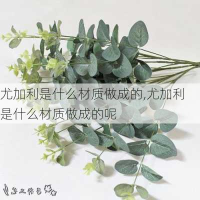 尤加利是什么材质做成的,尤加利是什么材质做成的呢