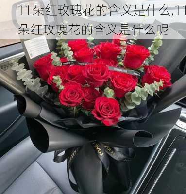 11朵红玫瑰花的含义是什么,11朵红玫瑰花的含义是什么呢