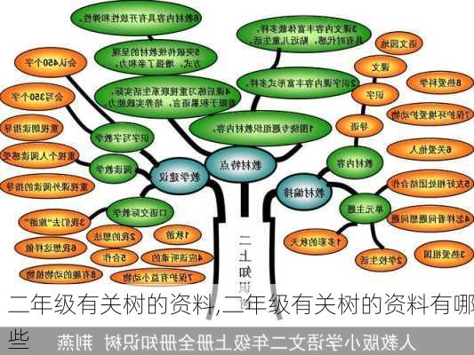 二年级有关树的资料,二年级有关树的资料有哪些