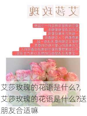 艾莎玫瑰的花语是什么?,艾莎玫瑰的花语是什么?送朋友合适嘛