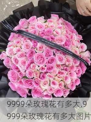 9999朵玫瑰花有多大,9999朵玫瑰花有多大图片