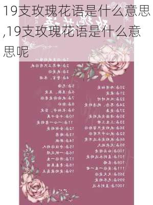 19支玫瑰花语是什么意思,19支玫瑰花语是什么意思呢