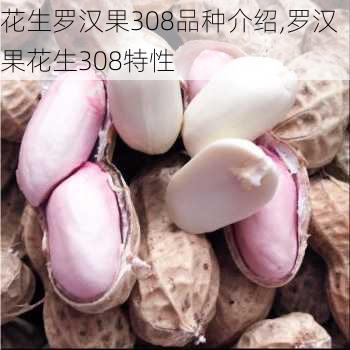 花生罗汉果308品种介绍,罗汉果花生308特性