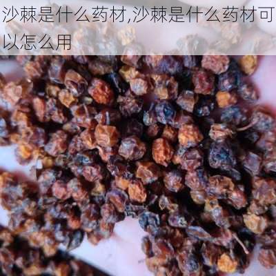 沙棘是什么药材,沙棘是什么药材可以怎么用