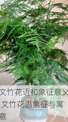 文竹花语和象征意义,文竹花语象征与寓意