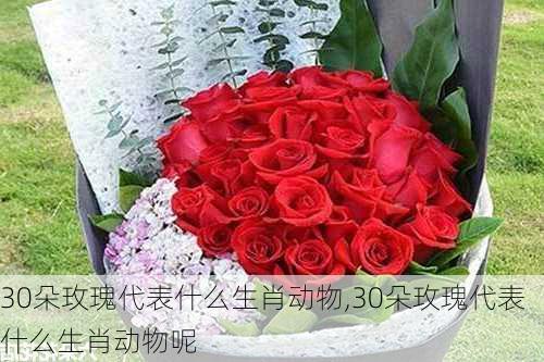 30朵玫瑰代表什么生肖动物,30朵玫瑰代表什么生肖动物呢