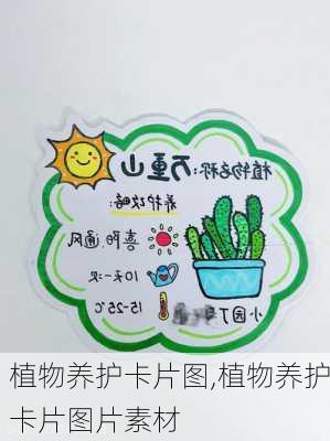 植物养护卡片图,植物养护卡片图片素材