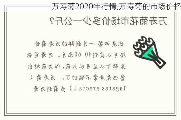 万寿菊2020年行情,万寿菊的市场价格