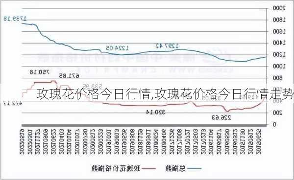 玫瑰花价格今日行情,玫瑰花价格今日行情走势