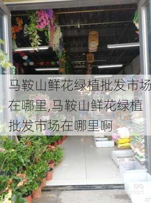 马鞍山鲜花绿植批发市场在哪里,马鞍山鲜花绿植批发市场在哪里啊