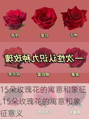 15朵玫瑰花的寓意和象征,15朵玫瑰花的寓意和象征意义