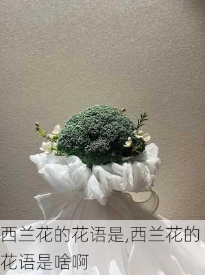 西兰花的花语是,西兰花的花语是啥啊