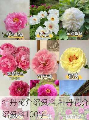 牡丹花介绍资料,牡丹花介绍资料100字