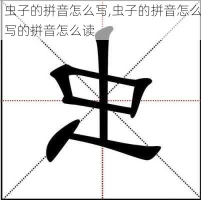 虫子的拼音怎么写,虫子的拼音怎么写的拼音怎么读