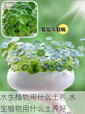 水生植物用什么土养,水生植物用什么土养好