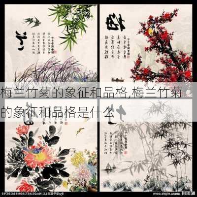 梅兰竹菊的象征和品格,梅兰竹菊的象征和品格是什么