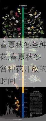 春夏秋冬各种花,春夏秋冬各种花开放的时间