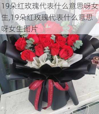 19朵红玫瑰代表什么意思呀女生,19朵红玫瑰代表什么意思呀女生图片