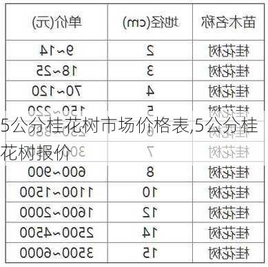 5公分桂花树市场价格表,5公分桂花树报价